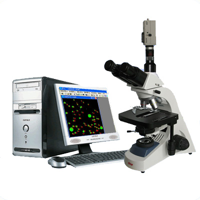 BM19A-TH 管材炭黑评级显微镜