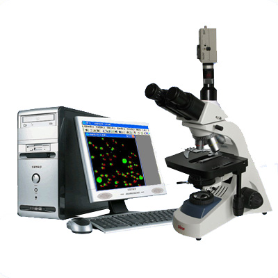 BM19A-UV-G  粒径统计分析显微镜