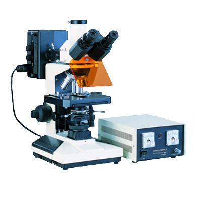 XSP-BM13C 三目荧光显微镜