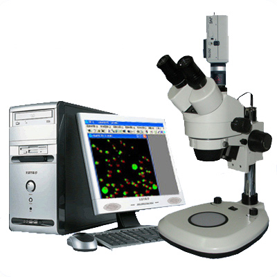 XTZ-AT-UV-G  粒径分析显微镜