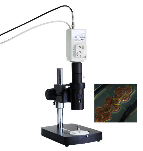 XTZ-T2V单目电脑型立体显微镜