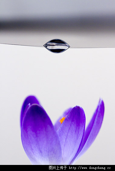 iPhone相机镜头透过水滴可以将画面放大