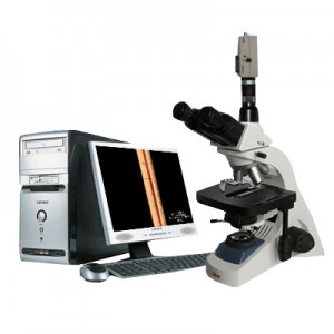 BM19A-UV塑料薄膜测量显微镜