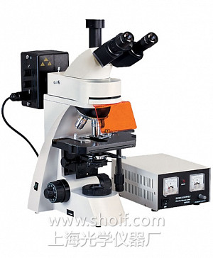 LW300LFT 三目落射荧光显微镜