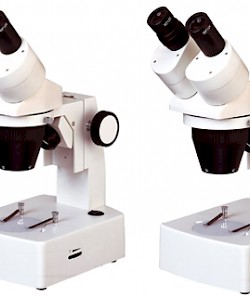 MZ41两档变倍体视显微镜