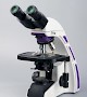 TL3600A科研级双目生物显微镜
