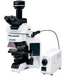 BX53研究级正置生物显微镜