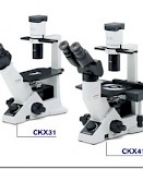 CKX31/CKX41奥林巴斯临床倒置显微镜