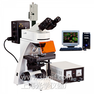 PQF-50研究型正置荧光显微镜