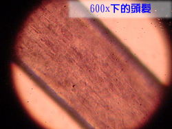 u30.jpg (10692 bytes)