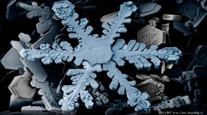 显微镜下的雪花