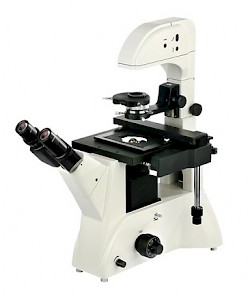 37XF-PC 三目倒置生物显微镜
