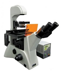LWD300-38LFT 倒置荧光显微镜