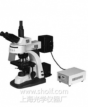 LW500LFT 落射荧光显微镜