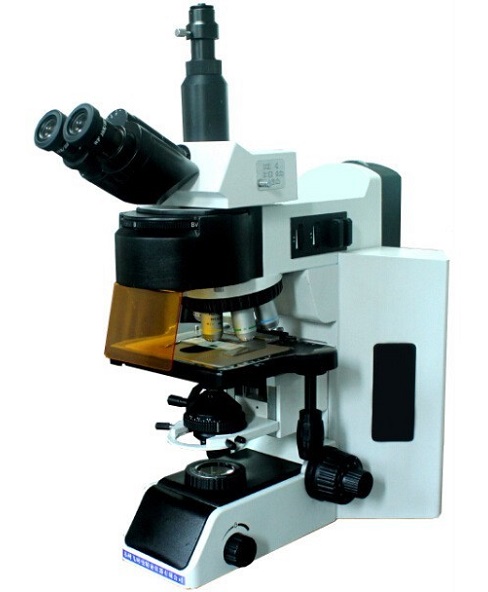 XS-29C 五波段LED荧光显微镜
