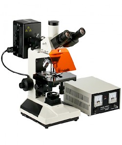 XS-26C 三目荧光显微镜