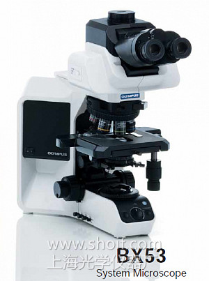 BX53奥林巴斯荧光显微镜