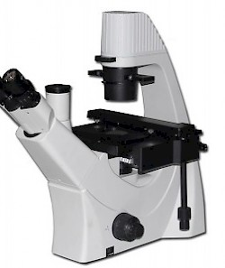 XS-39C科研级三目倒置生物显微镜