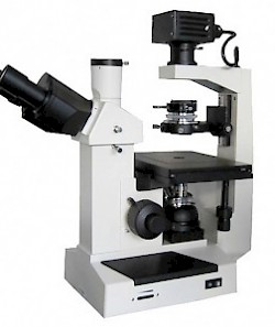 XS-38C三目倒置生物显微镜