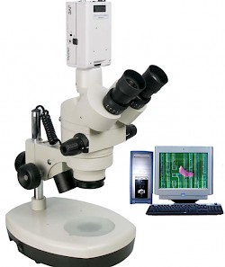 TVM-330型长工作距离体视显微镜