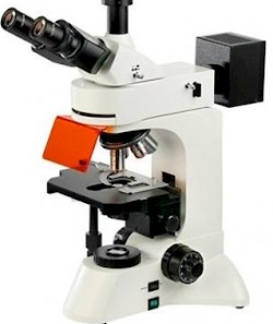 TFM-600究型正置荧光显微镜