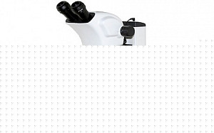 BTL-301连续变倍体视显微镜