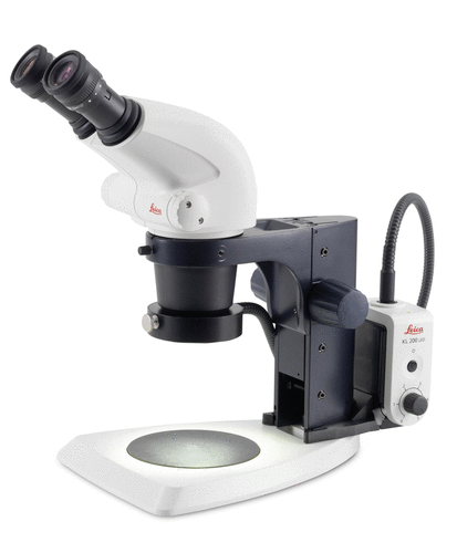Leica徕卡S4E入门级立体显微镜