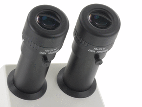 Leica徕卡M60立体显微镜