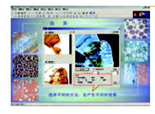 Motic Image 2000(1.3)图像软件分析系统