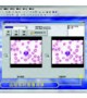 Motic Image 2000(1.3)图像软件分析系统