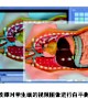 解剖、手术数码互动实验室1.0应用软件