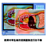 解剖、手术数码互动实验室1.0应用软件