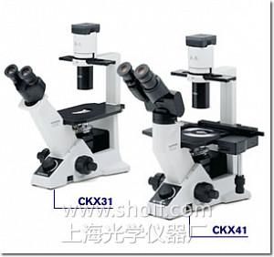 CKX31/CKX41奥林巴斯临床倒置显微镜