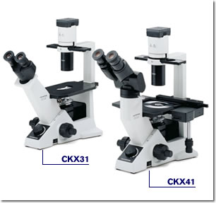 奥林巴斯CKX31/CKX41临床倒置显微镜