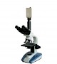 XSP-BM-2CEAC生物显微镜