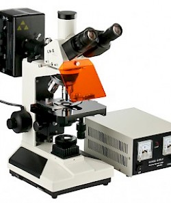 XSP-63XV无限远光学校正系统荧光显微镜