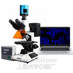 XSP-63XV无限远光学校正系统荧光显微镜