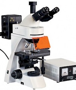 XSP-63X正置荧光显微镜