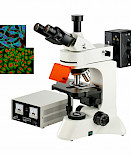 FR-2L/DYF-600落射荧光显微镜