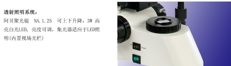 上海仪器有限公司荧光显微镜