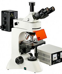 VMF32A/WMF-3300电脑型荧光显微镜