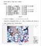 岩相岩石专用图像分析软件