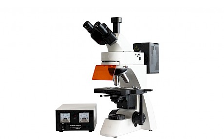DFM-55D正置荧光显微镜