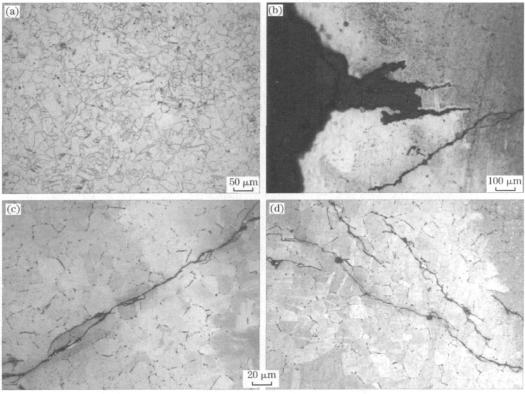 显微镜下的钢管裂纹