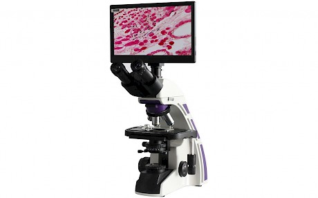 VMB2600A三目生物显微镜