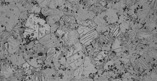 金相显微镜：铸态镁合金金相组织图片