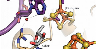 如何修饰 RNA：发现添加化学标签转移RNA的关键步骤