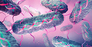 麻省理工学院的研究人员设计了一种通过重写DNA将记忆编程到细菌细胞中的方法