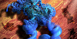 纳米技术以近原子分辨率实现关键RNA结构的3D可视化