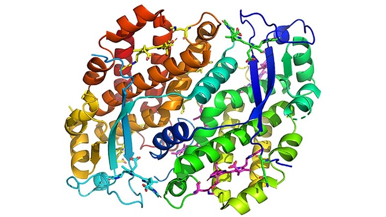 隐植物天线中的新蛋白质结构